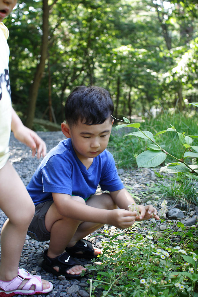IMG_6996.jpg