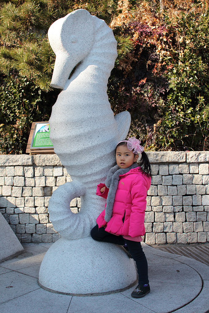 IMG_8142.jpg