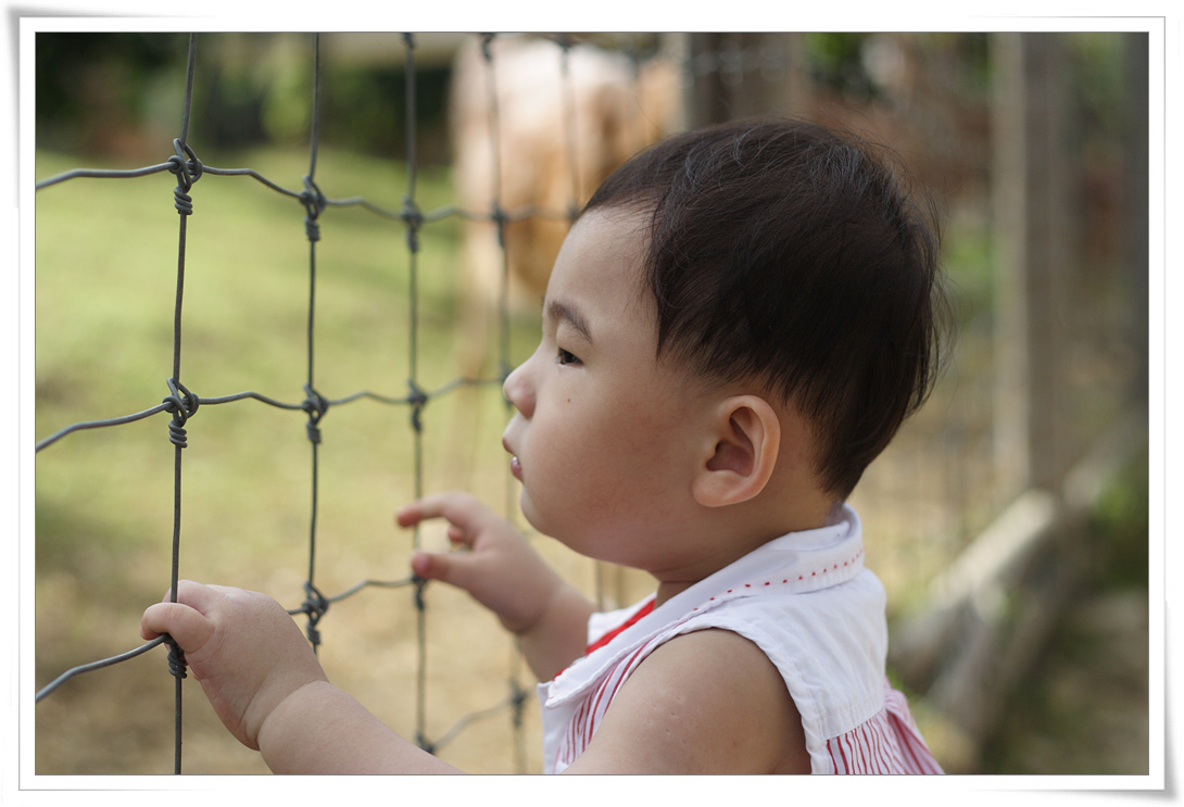 IMG_1682.jpg