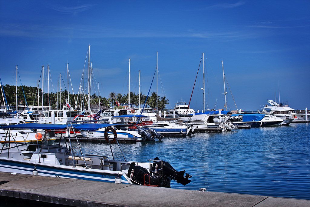 IMG_8940.jpg