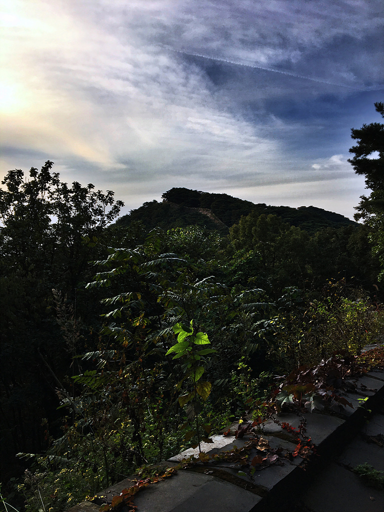 20171004_083721544_iOS.jpg