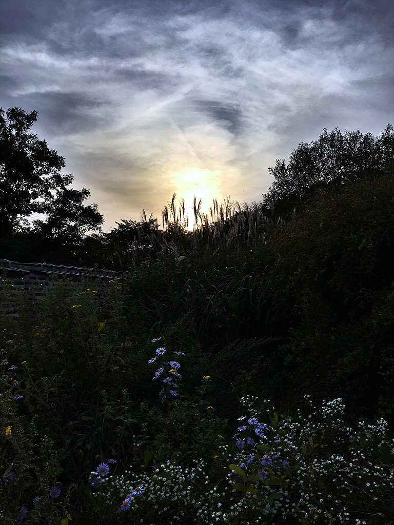 20171004_082216943_iOS.jpg