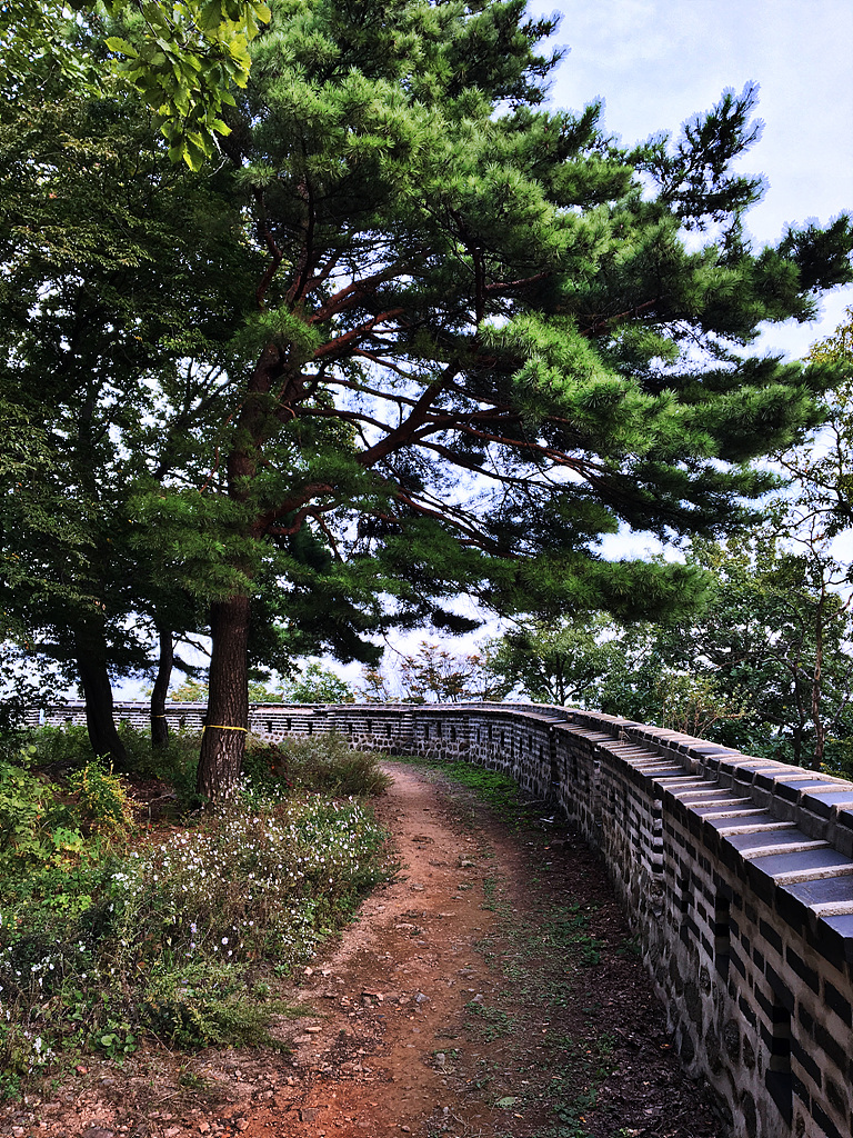 20171004_082622792_iOS.jpg