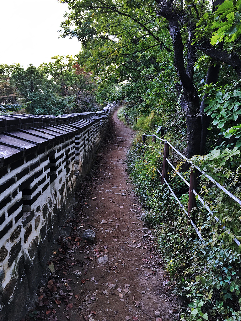 20171004_082727535_iOS.jpg