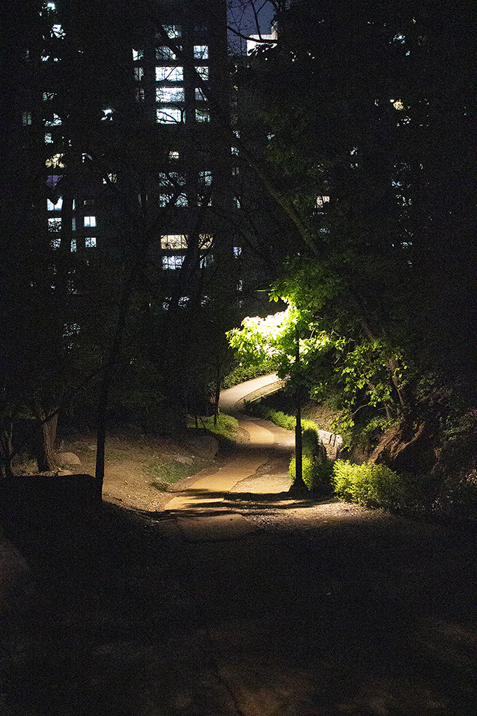 IMG_1655.jpg