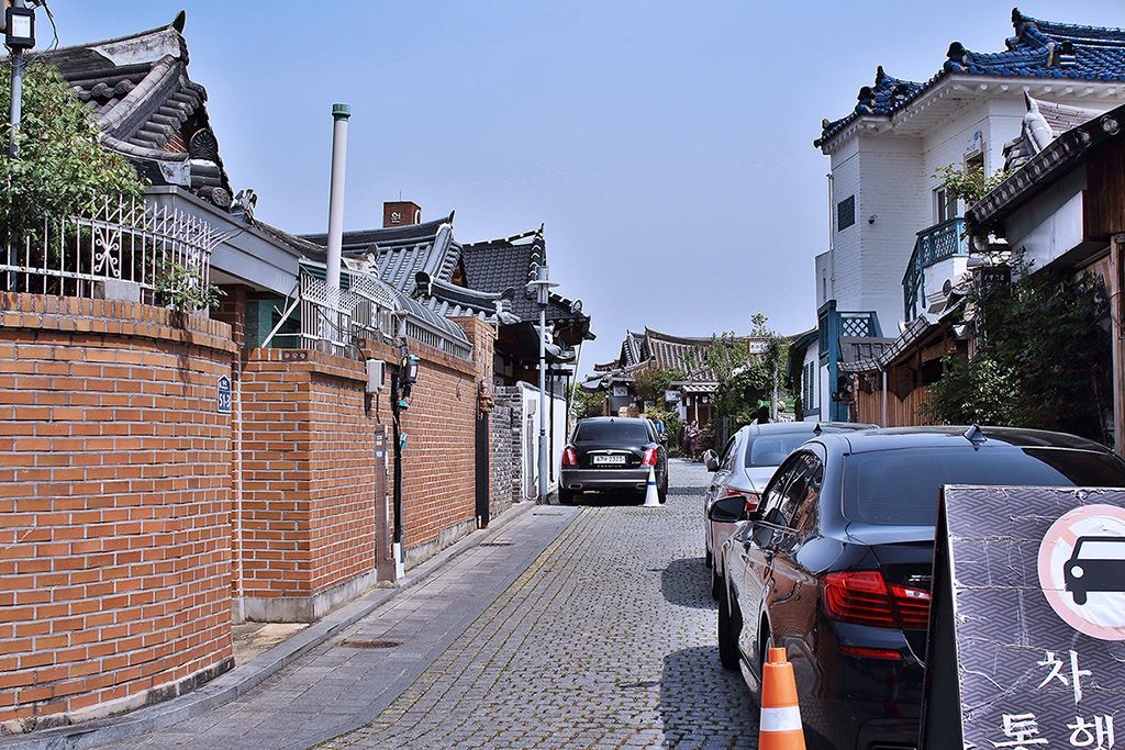 IMG_9982.jpg
