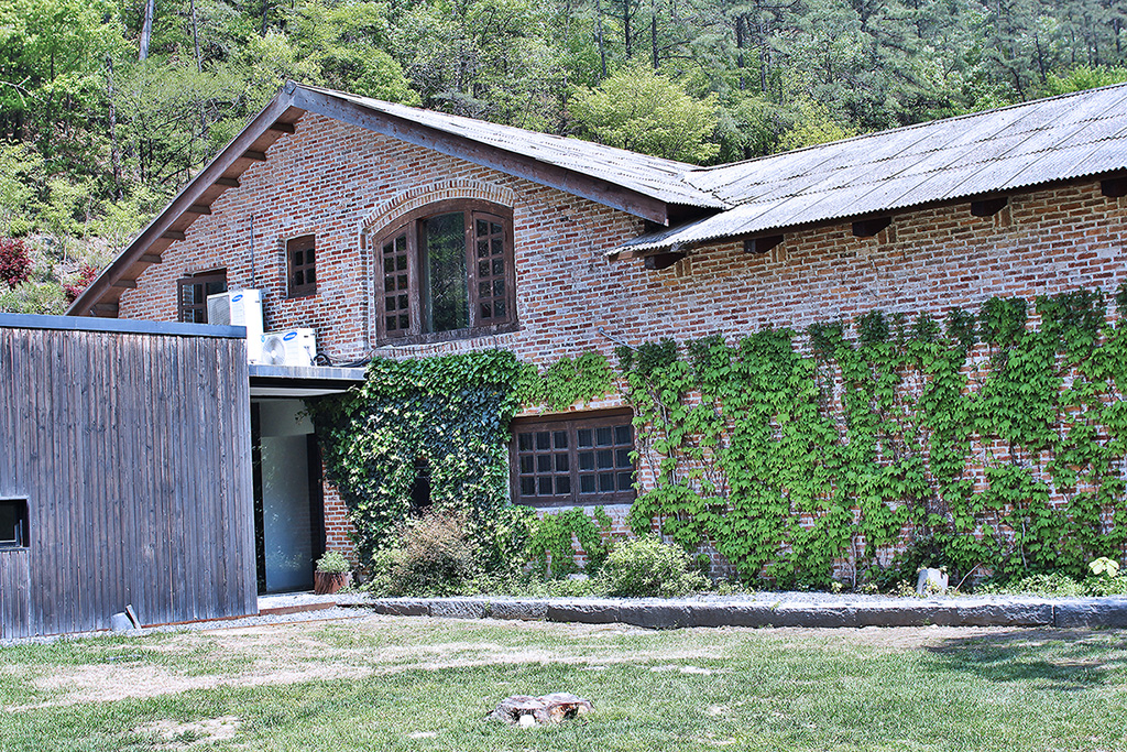 IMG_9820.jpg
