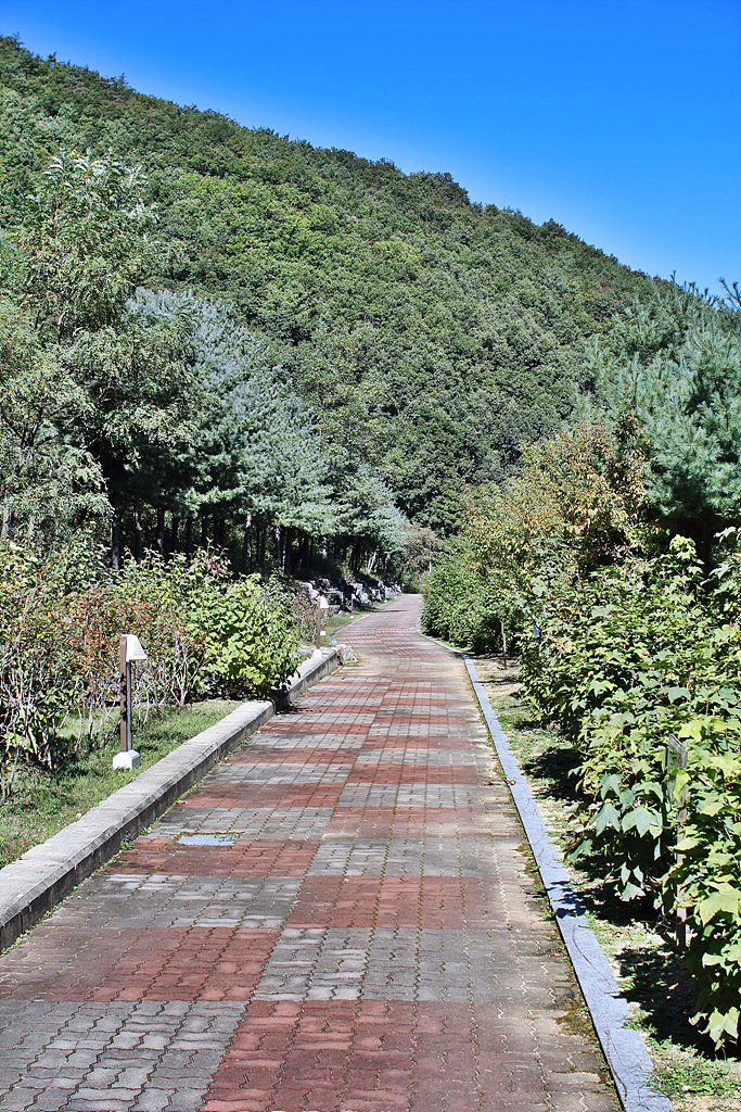 IMG_9292.jpg