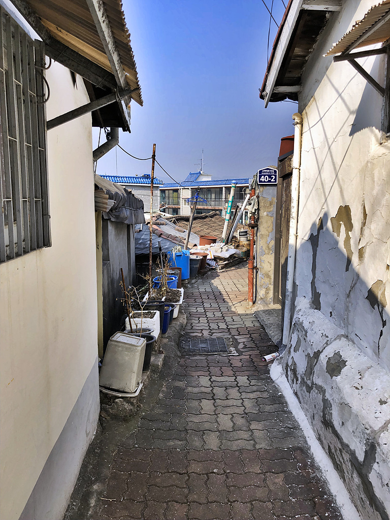 20190221_015243810_iOS.jpg
