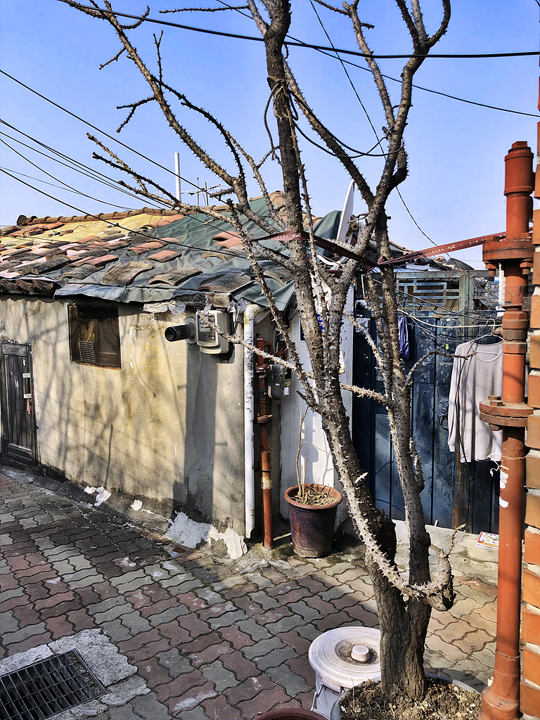 20190221_015334063_iOS.jpg