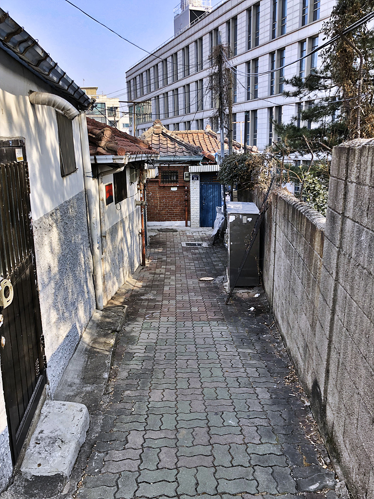 20190221_015400544_iOS.jpg