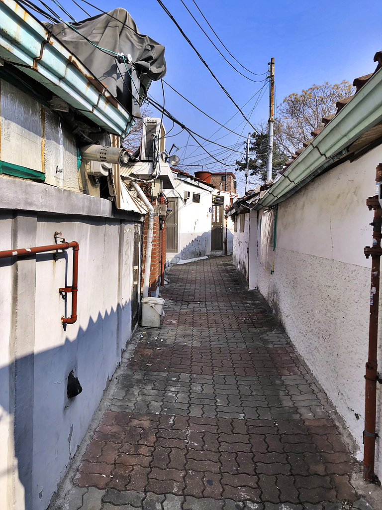 20190221_015215573_iOS.jpg