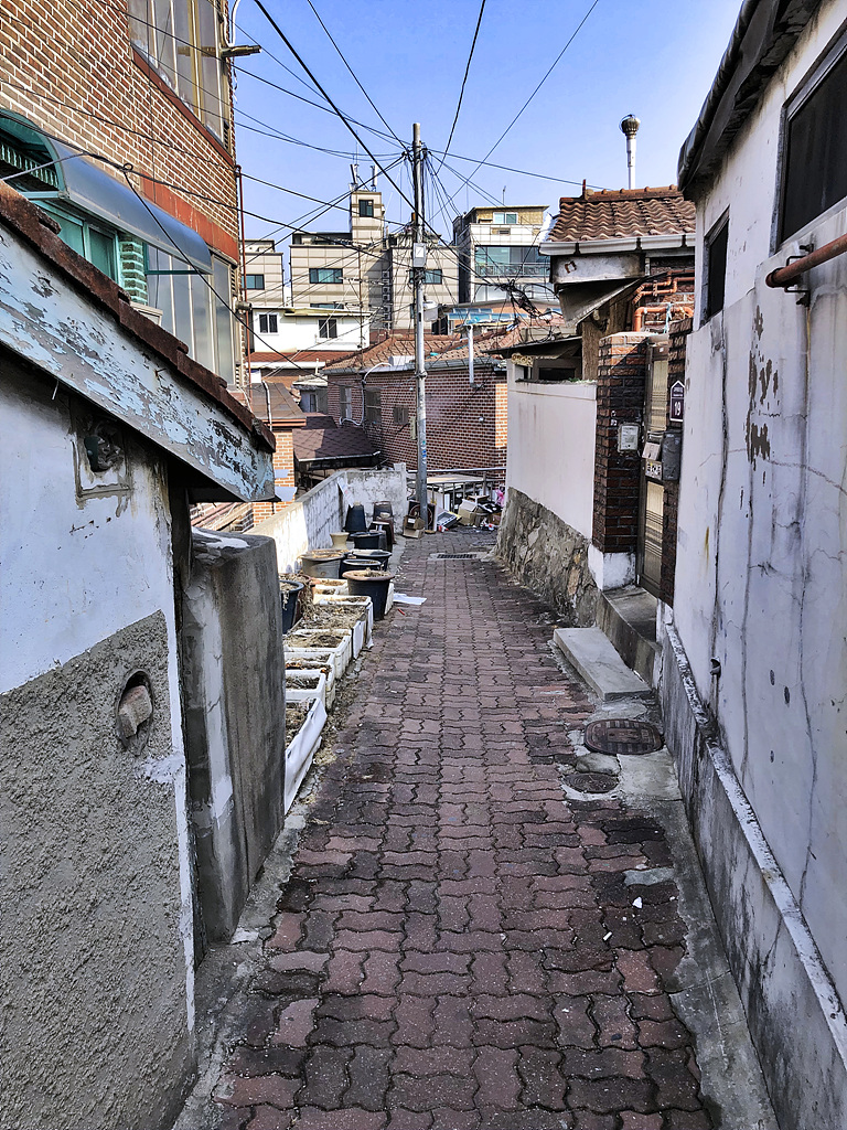 20190221_015434362_iOS.jpg
