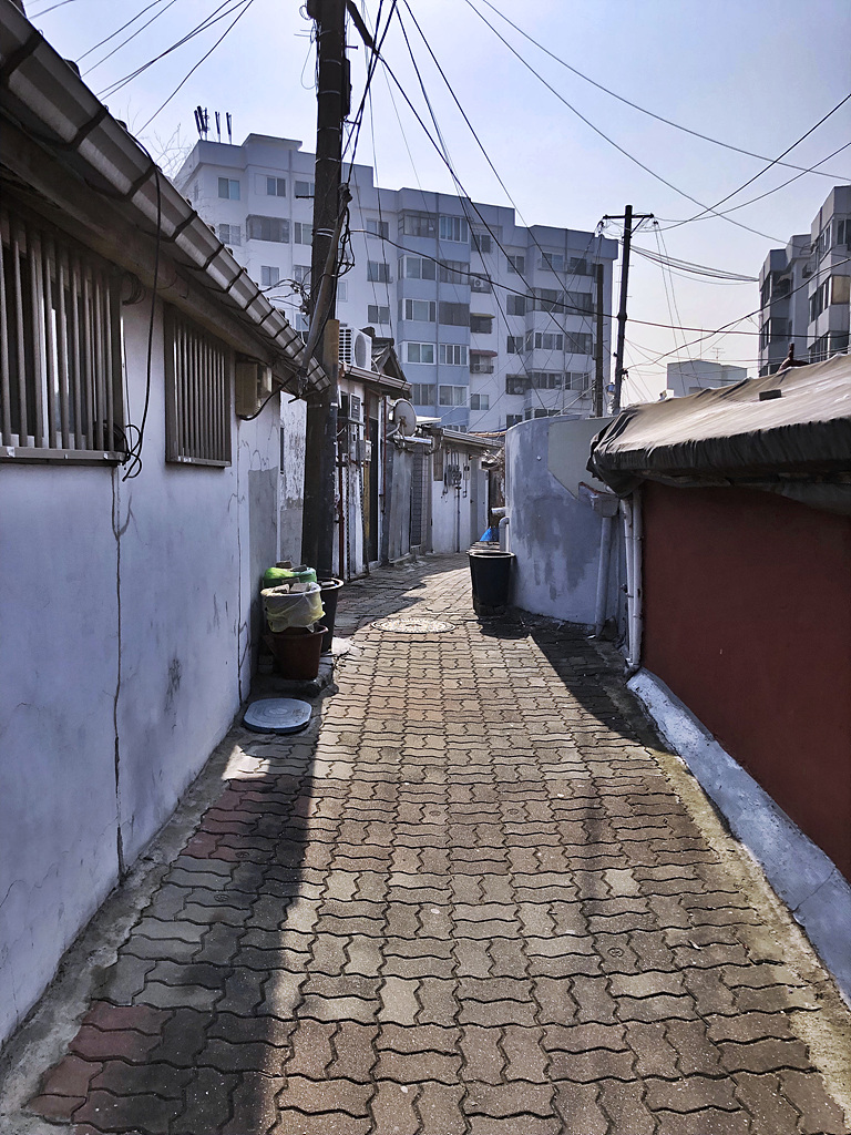 20190221_014804088_iOS.jpg