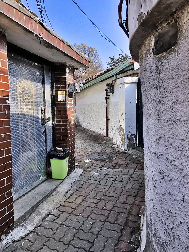 20190221_015209167_iOS.jpg