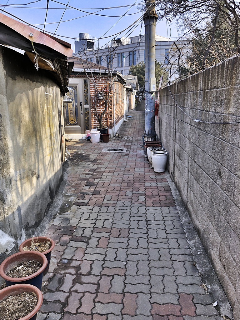 20190221_015320792_iOS.jpg