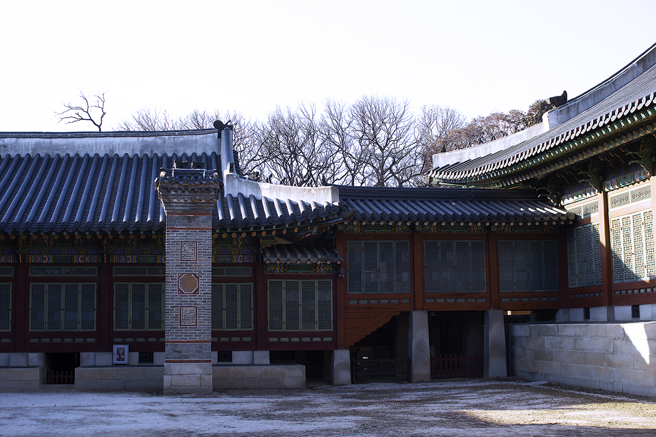 _MG_2405.jpg