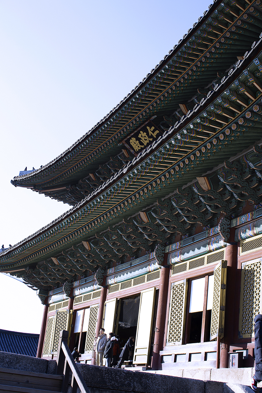 _MG_2393.jpg