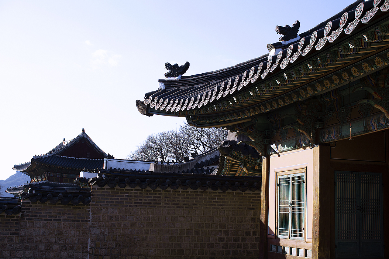 _MG_2402.jpg