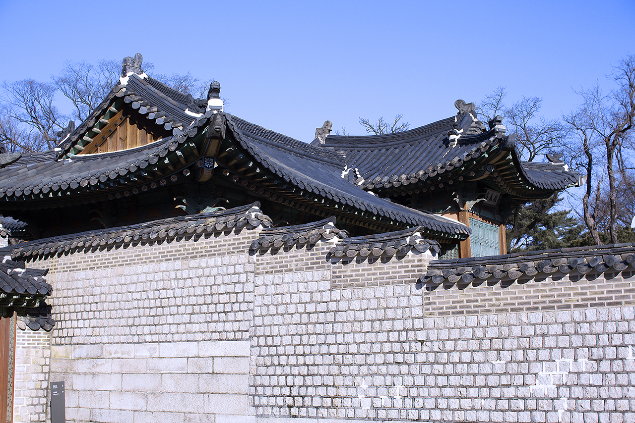 _MG_2395.jpg