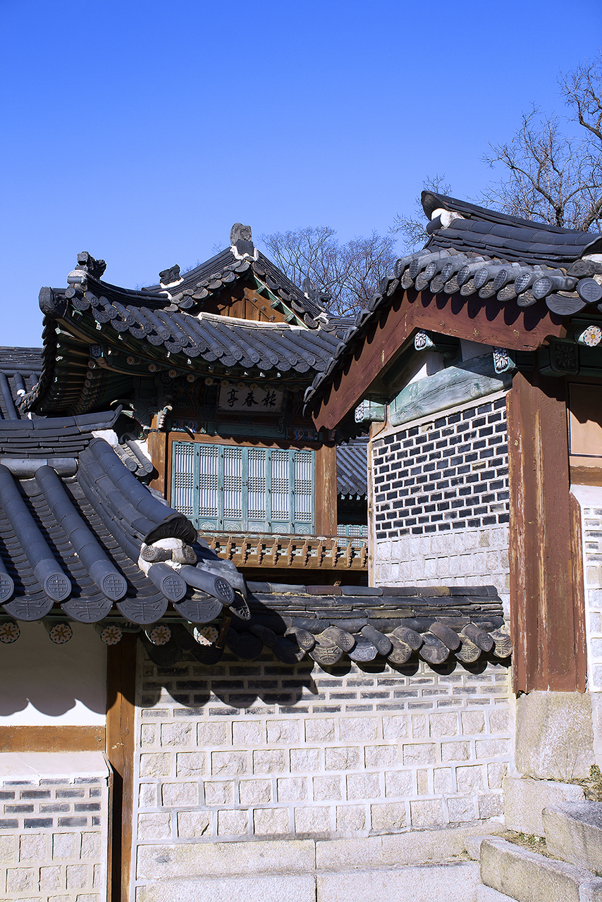 _MG_2398.jpg