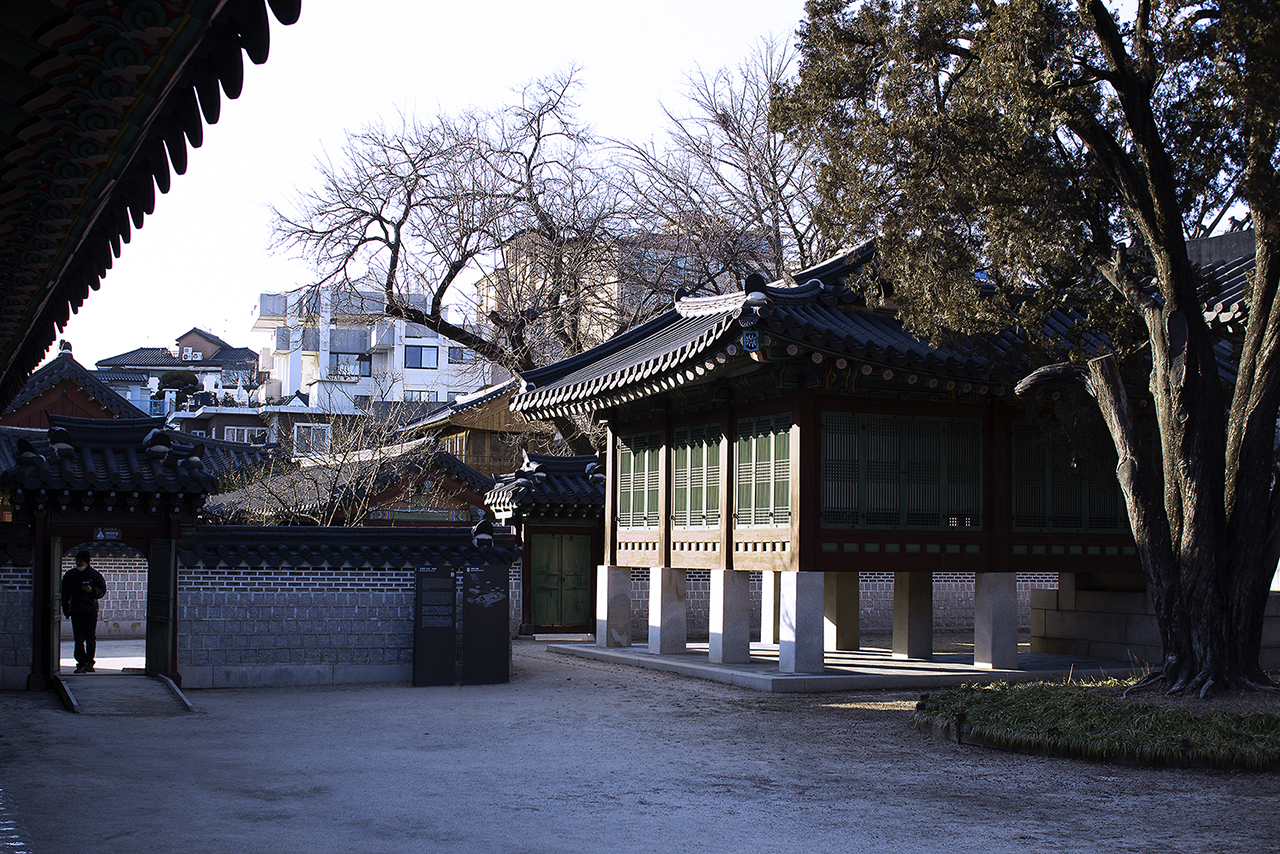 _MG_2422.jpg