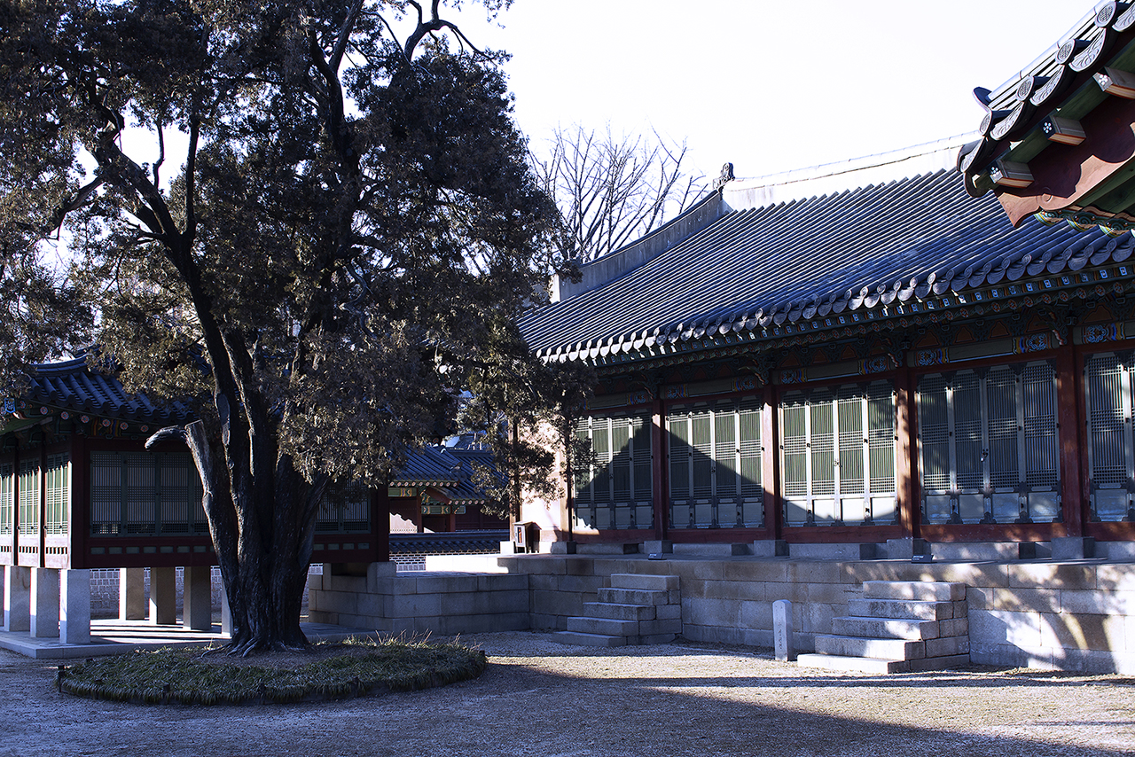 _MG_2420.jpg