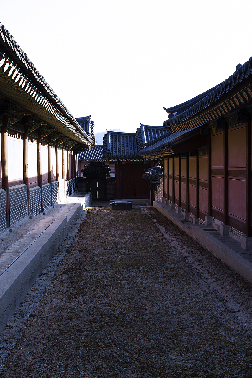 _MG_2412.jpg