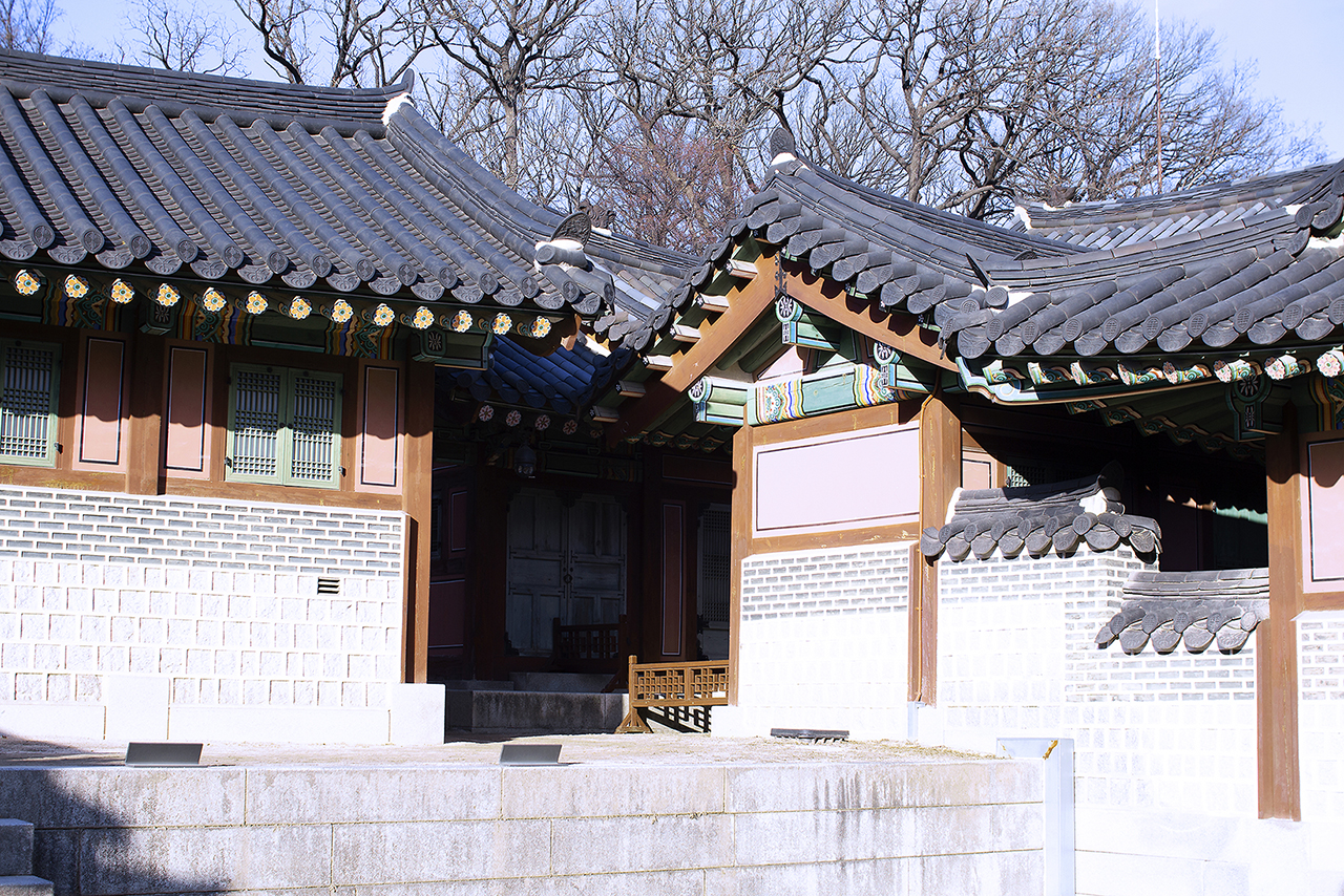 _MG_2415.jpg