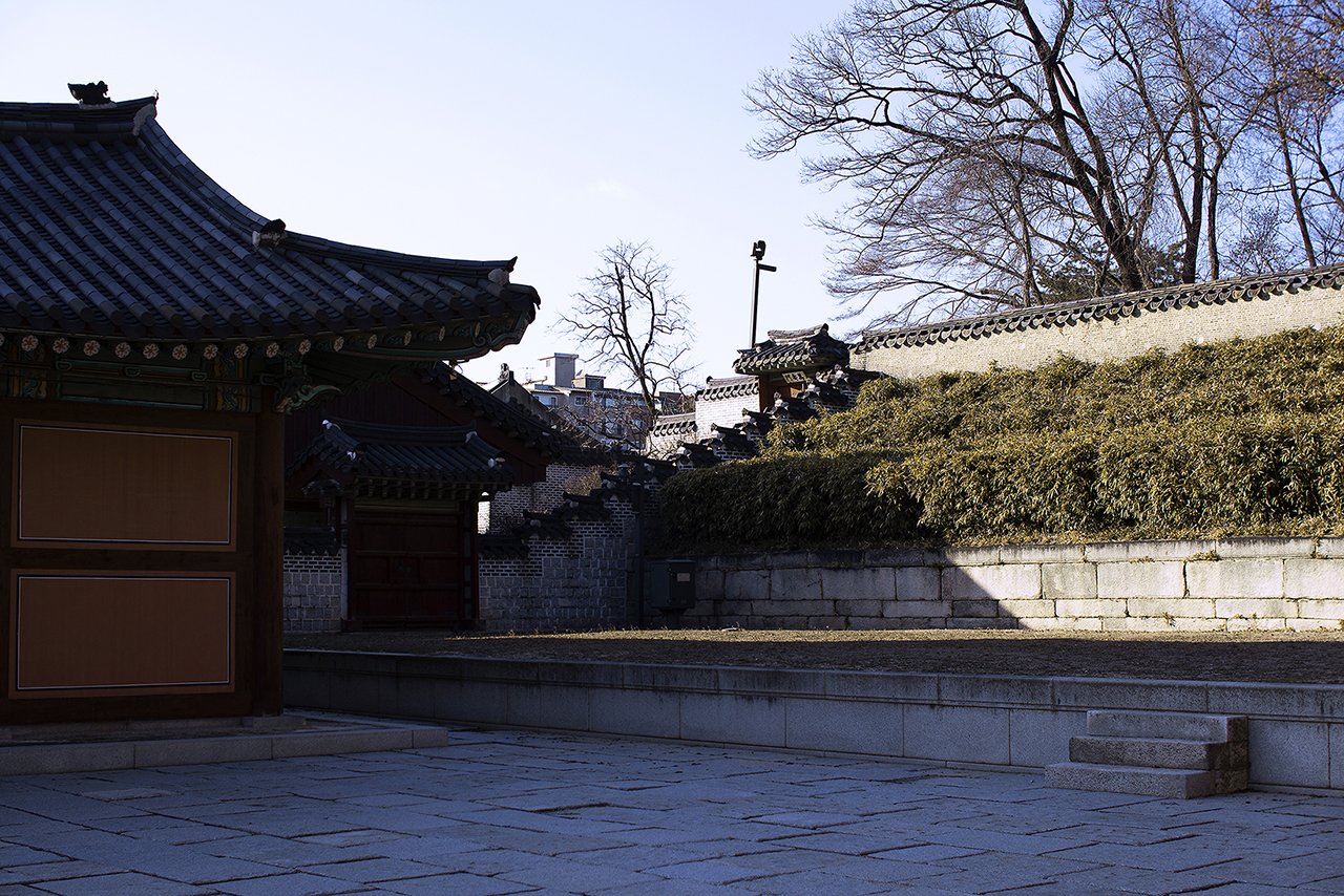 _MG_2409.jpg