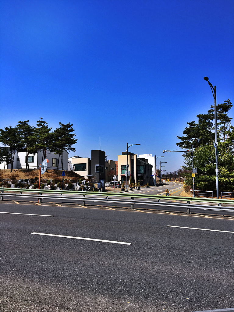 20180322_034805671_iOS.jpg