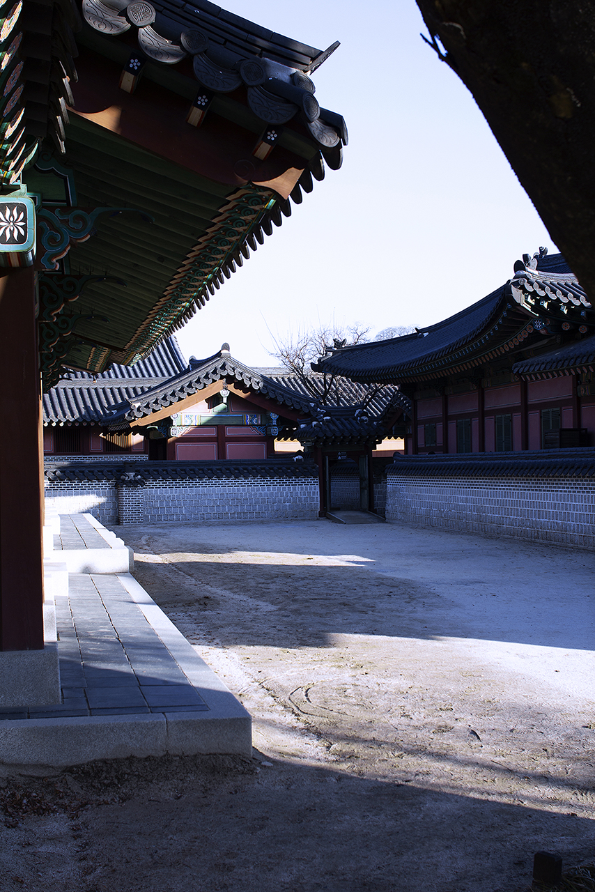 _MG_2429.jpg