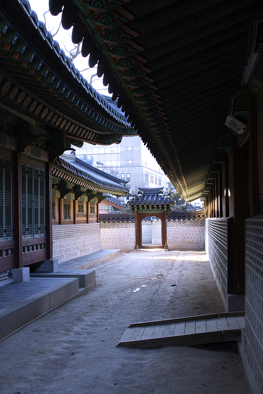 _MG_2424.jpg