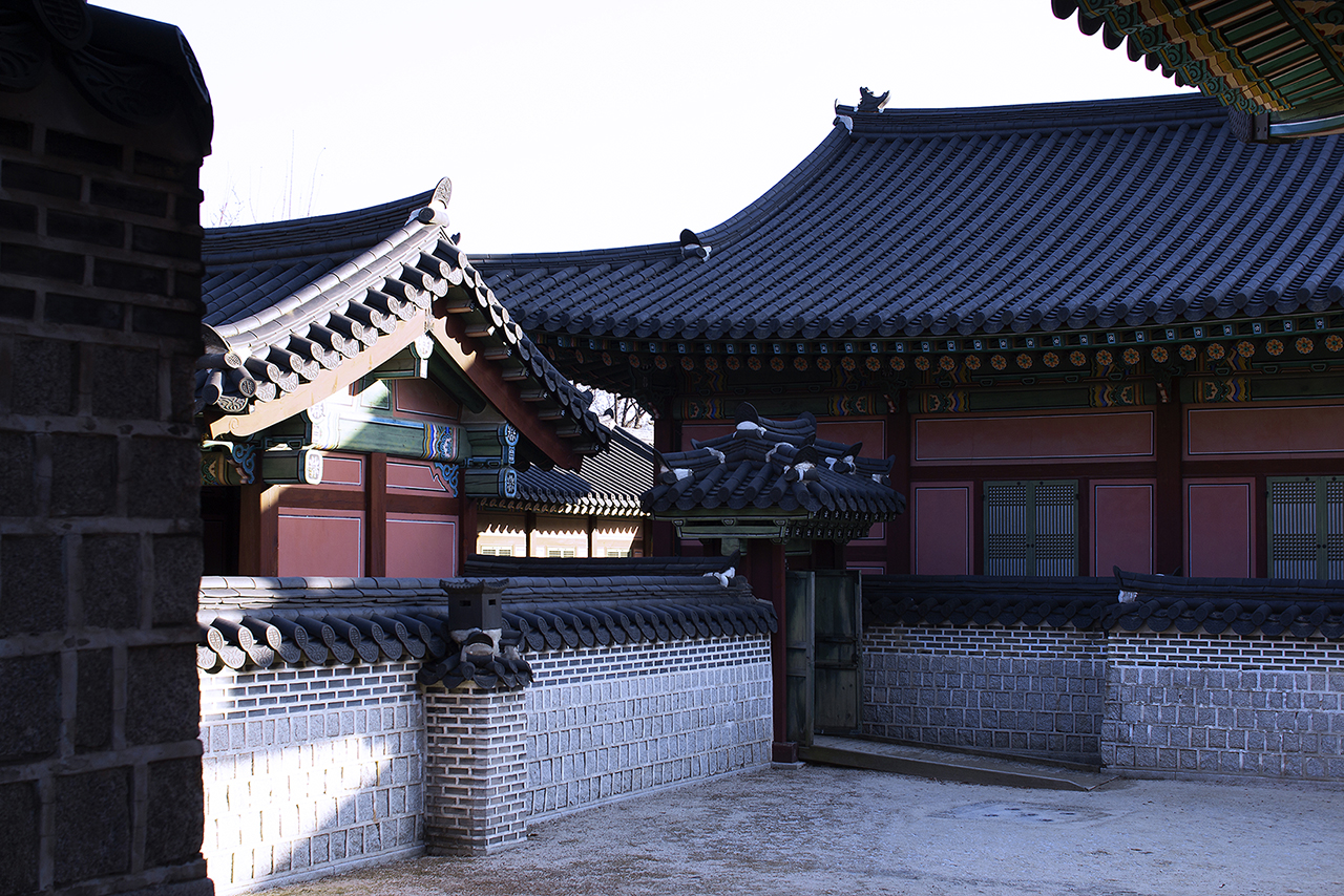 _MG_2425.jpg