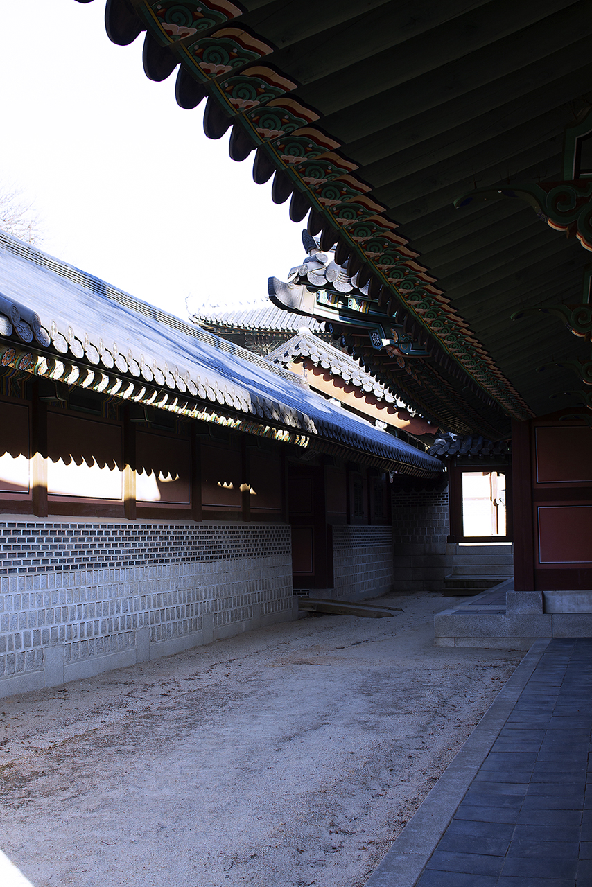 _MG_2428.jpg