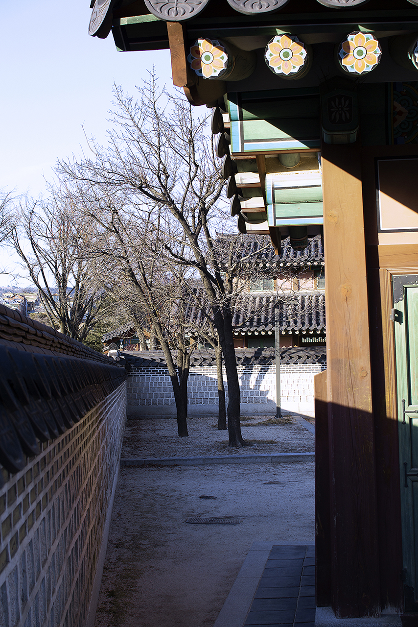 _MG_2435.jpg