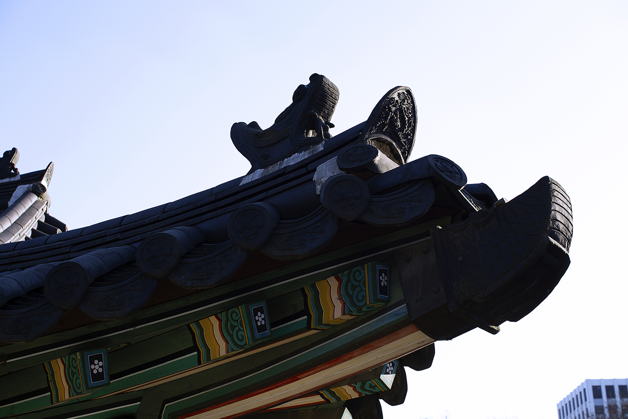 _MG_2433.jpg