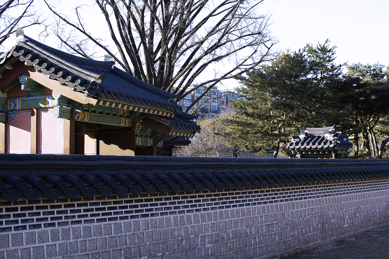 _MG_2446.jpg