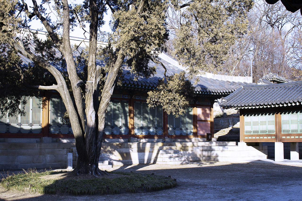 _MG_2442.jpg