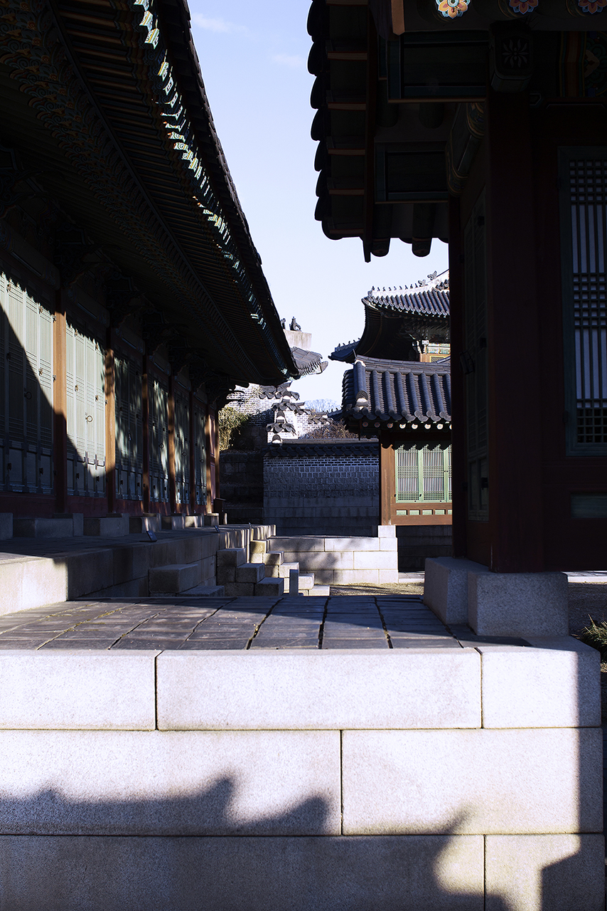 _MG_2448.jpg