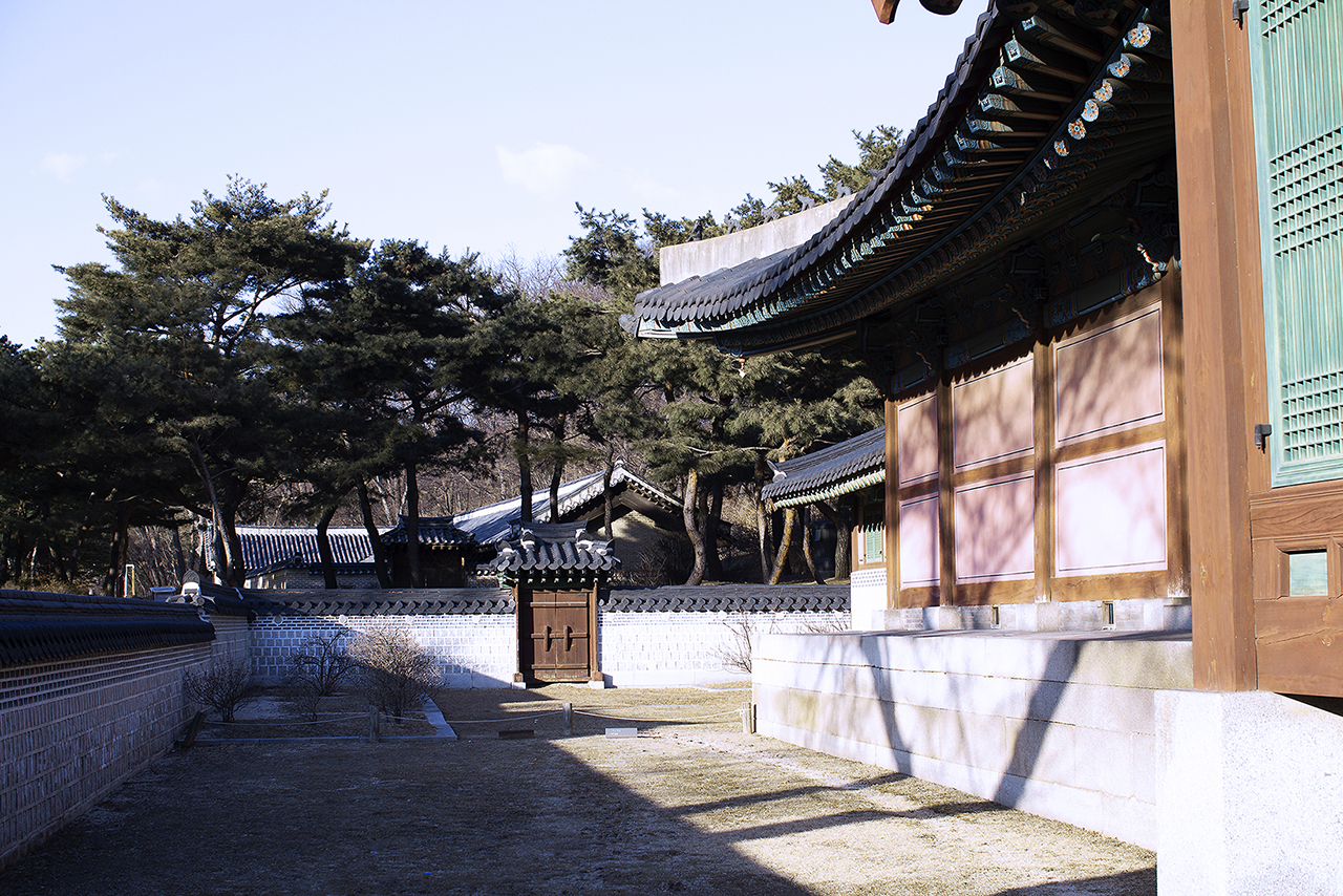 _MG_2444.jpg