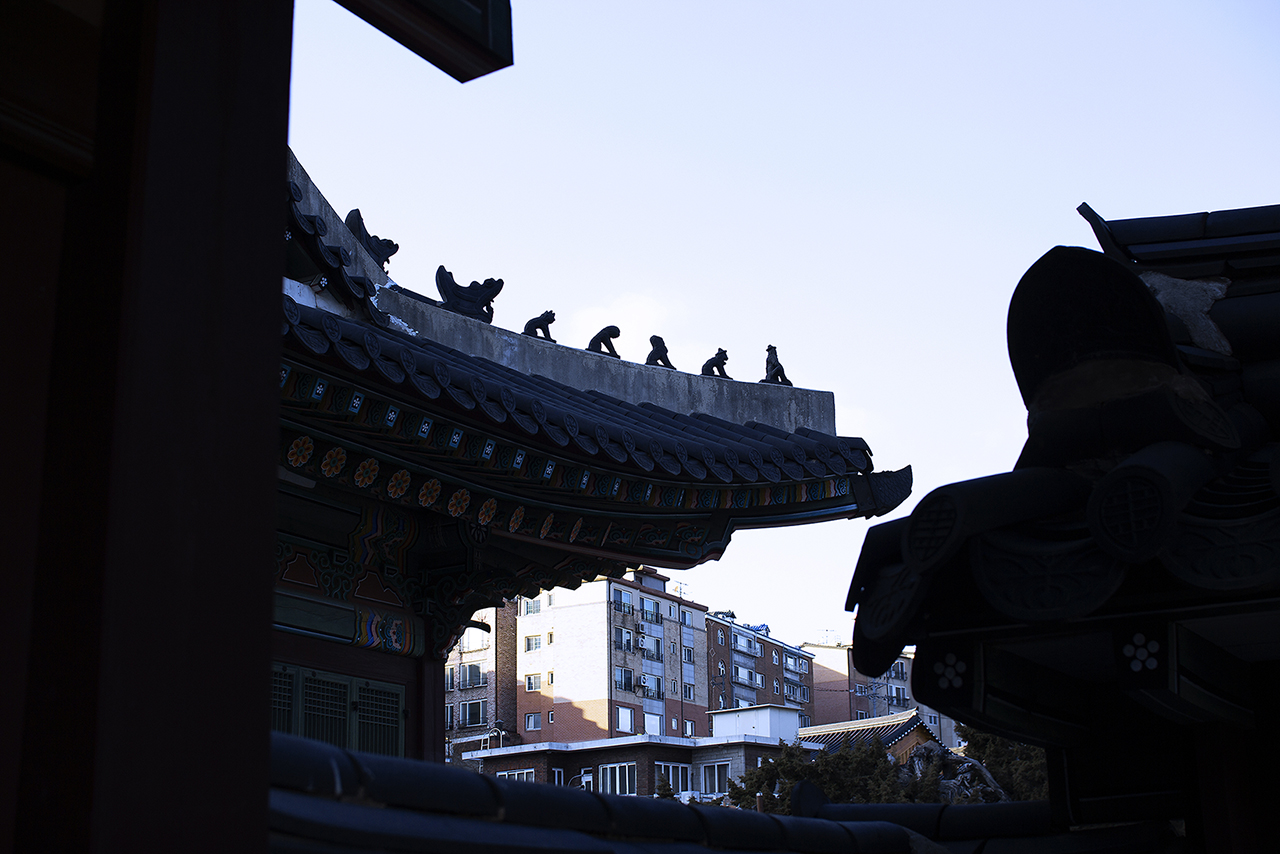 _MG_2462.jpg