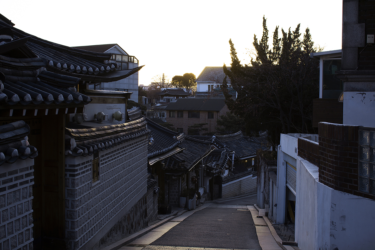 _MG_2474.jpg
