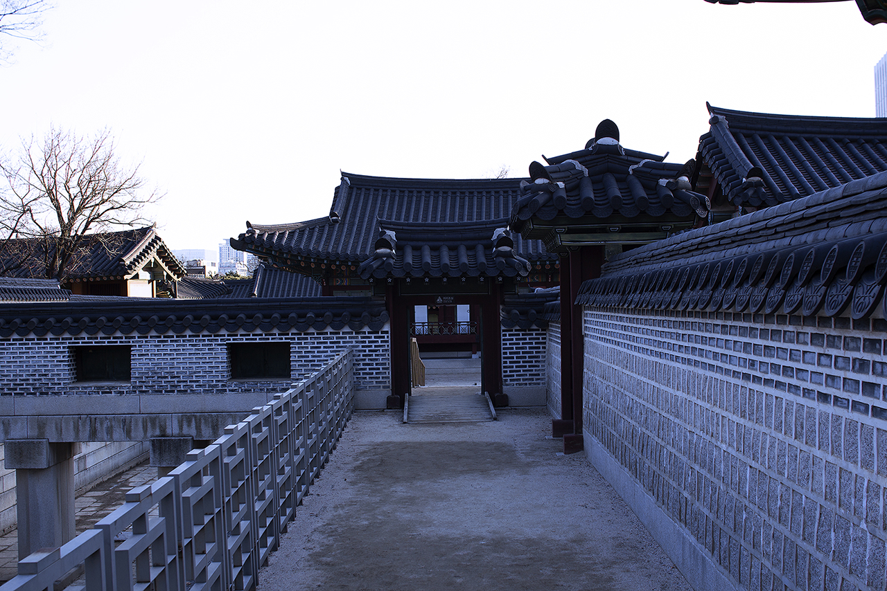 _MG_2453.jpg