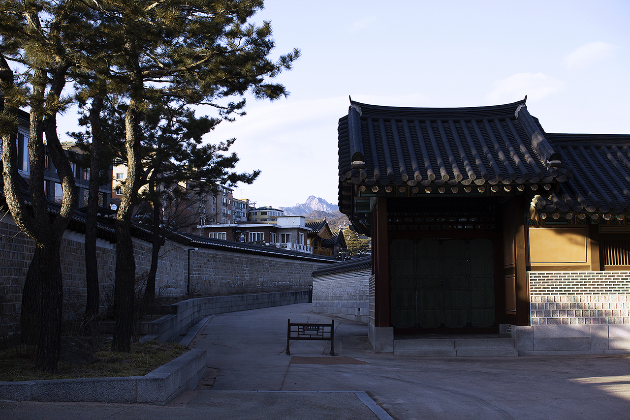 _MG_2471.jpg