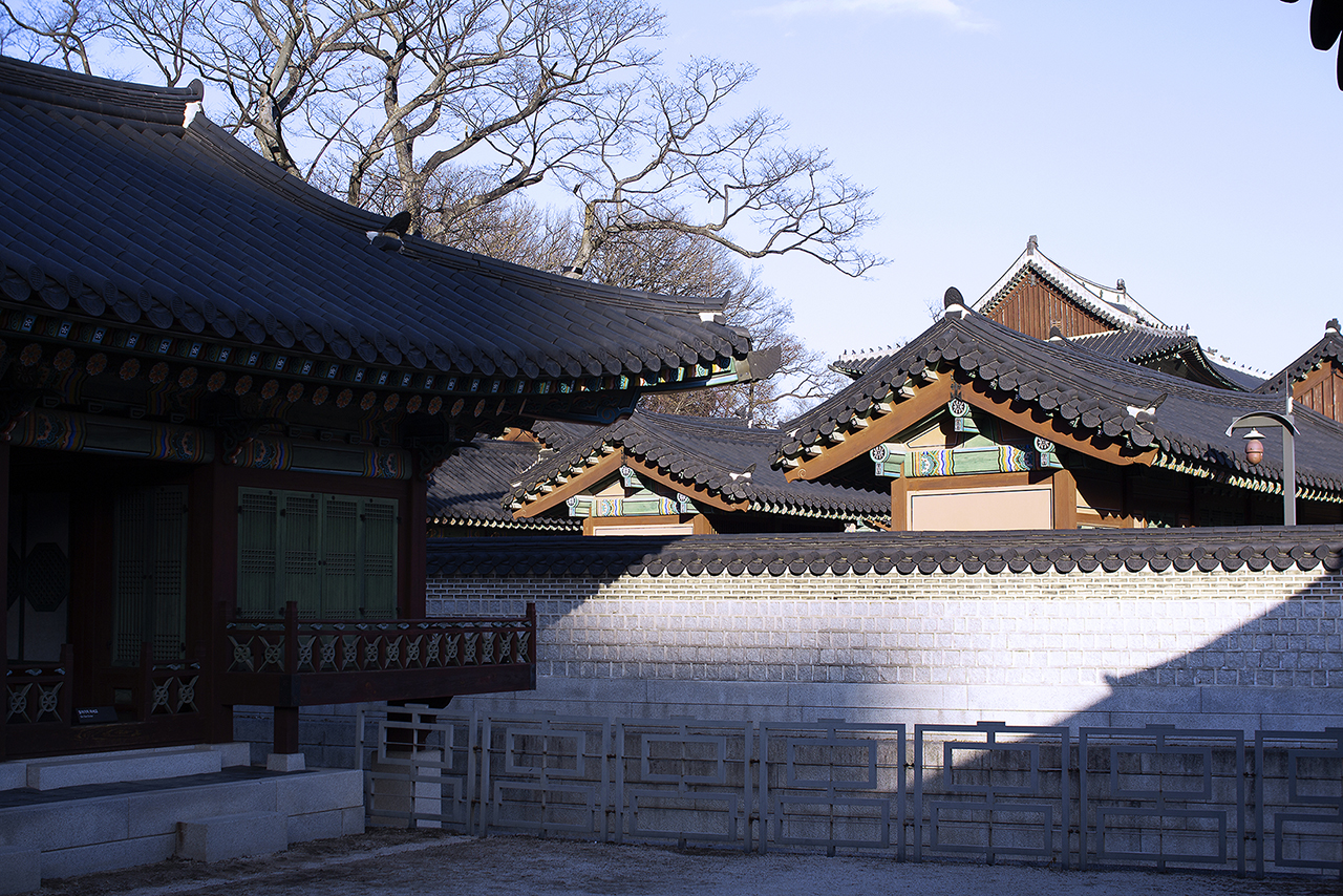 _MG_2459.jpg
