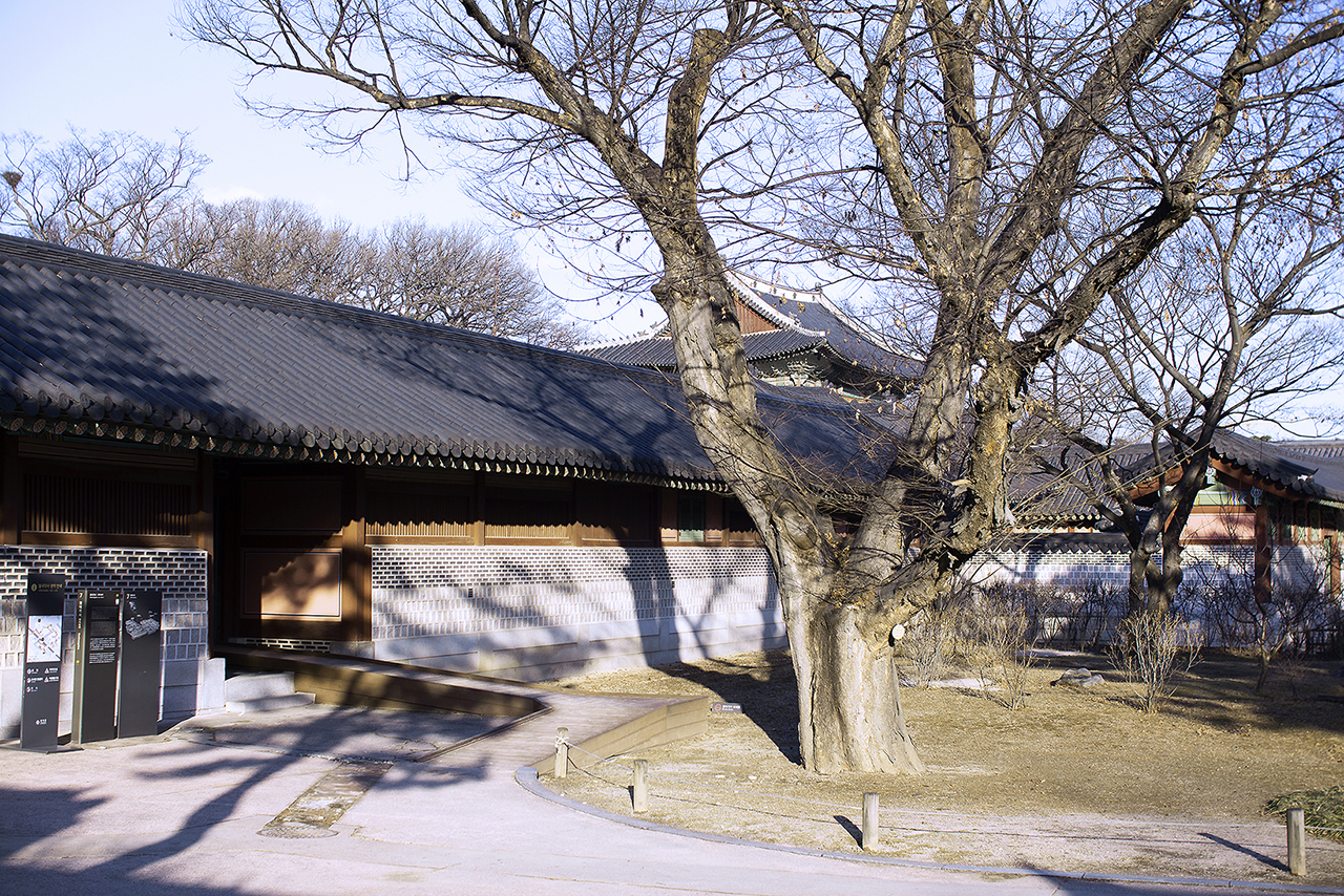 _MG_2469.jpg