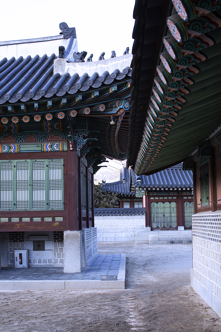 _MG_2464.jpg