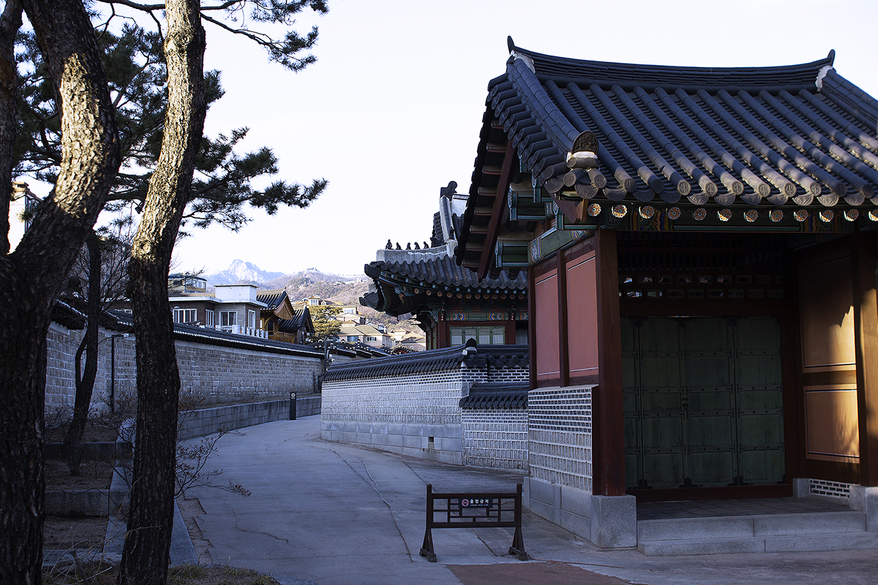 _MG_2470.jpg
