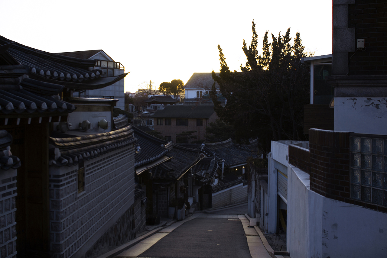 _MG_2473.jpg